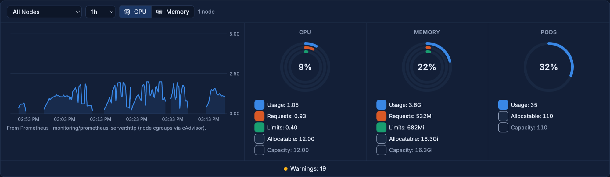 Cluster health charts: CPU usage over the last hour from Prometheus, with CPU, memory and pod capacity rings showing usage, requests and limits